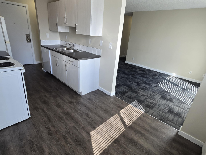 Apartment For Rent 4728-55 Street, Red Deer, 2 Bedroom, 1 Bathroom