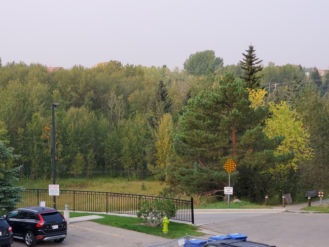 Apartment For Rent 214, 5121 37 Street, Red Deer, 1 Bedroom, 1 Bathroom