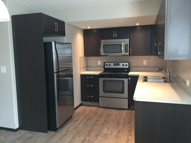 Red Deer Basement Suite For Rent 2 Bedrooms 1 Bathroom